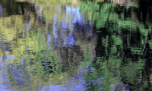 Trees Reflected on Water
